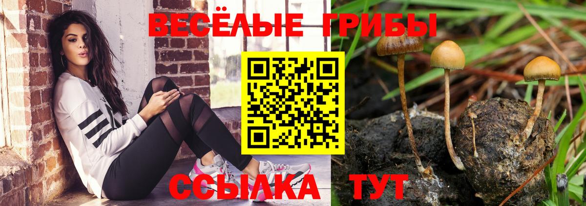 купить   Лосино-Петровский  Галлюциногенные грибы GOLDEN TEACHER  Псилоцибиновые грибы мухоморы 