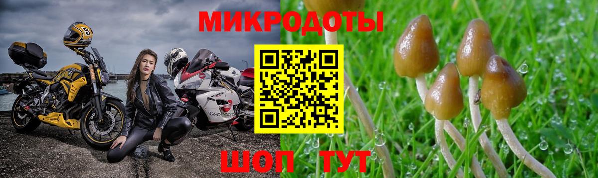 Псилоцибиновые грибы Magic Shrooms Лосино-Петровский