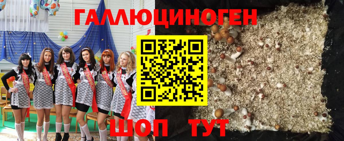 Псилоцибиновые грибы Cubensis Лосино-Петровский